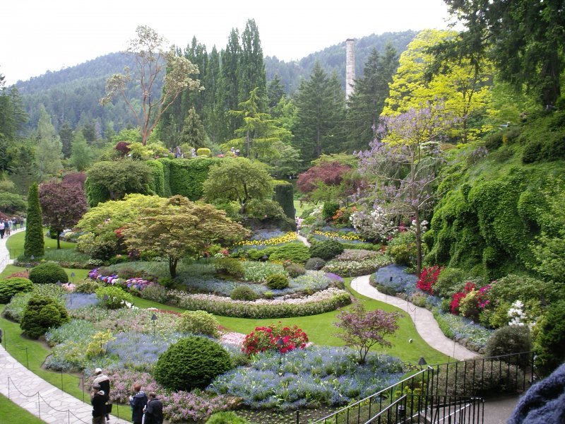 باغ گل