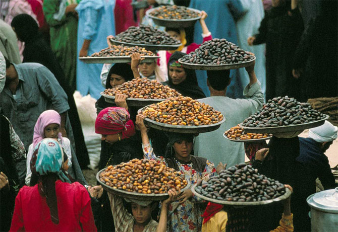 گروه اینترنتی خورشید