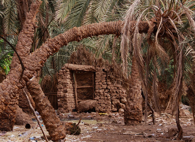 گروه اینترنتی خورشید