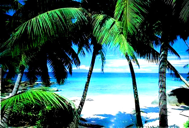 سواحل زیبای هاوایی