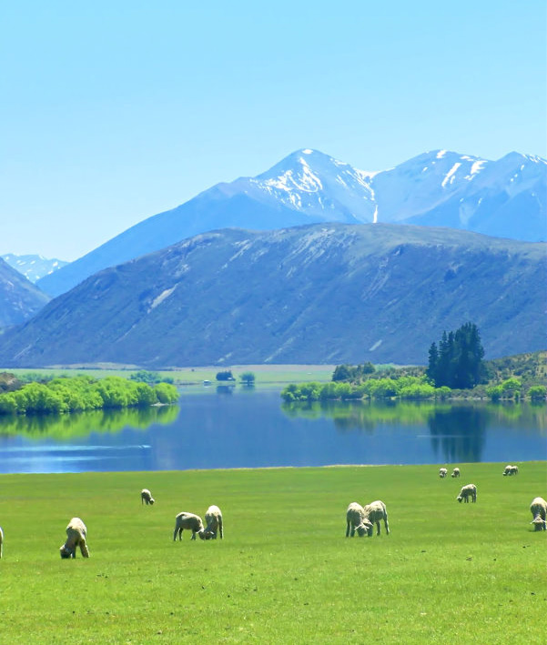 طبیعت زیبای نیوزلند