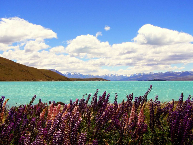 طبیعت زیبای نیوزلند