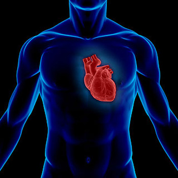علایم و راه های درمان تپش قلب