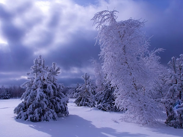 طبیعت زیبای زمستانی، بهاری و پاییزی