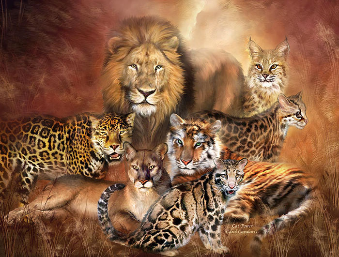 نقاشی حیوانات با رنگ روغن