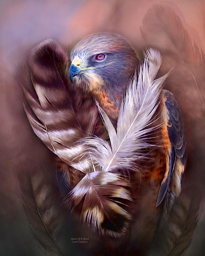 [عکس: beautiful-bird-painting-14.jpg]