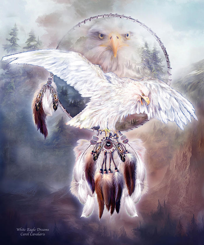 [عکس: beautiful-bird-painting-17.jpg]