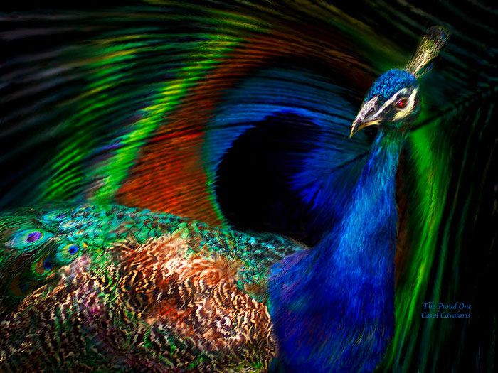 [عکس: beautiful-bird-painting-18.jpg]