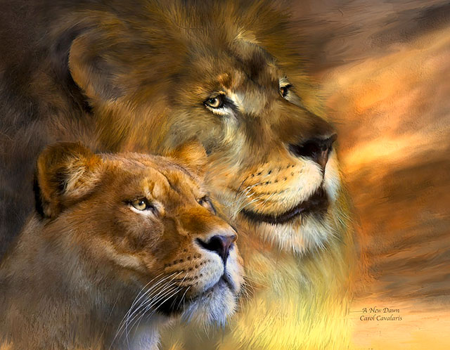 نقاشی زیبا شیر جنگل