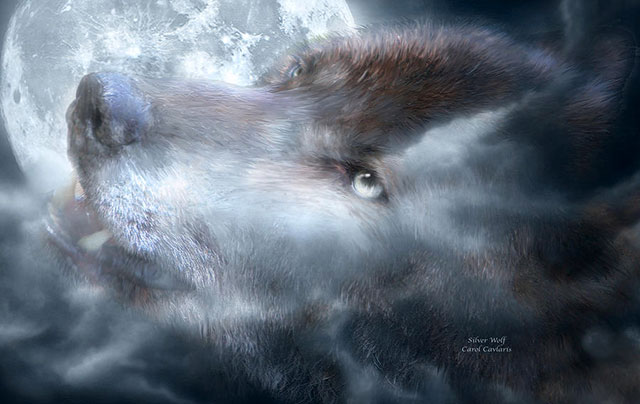 گــرگ | wolf 2