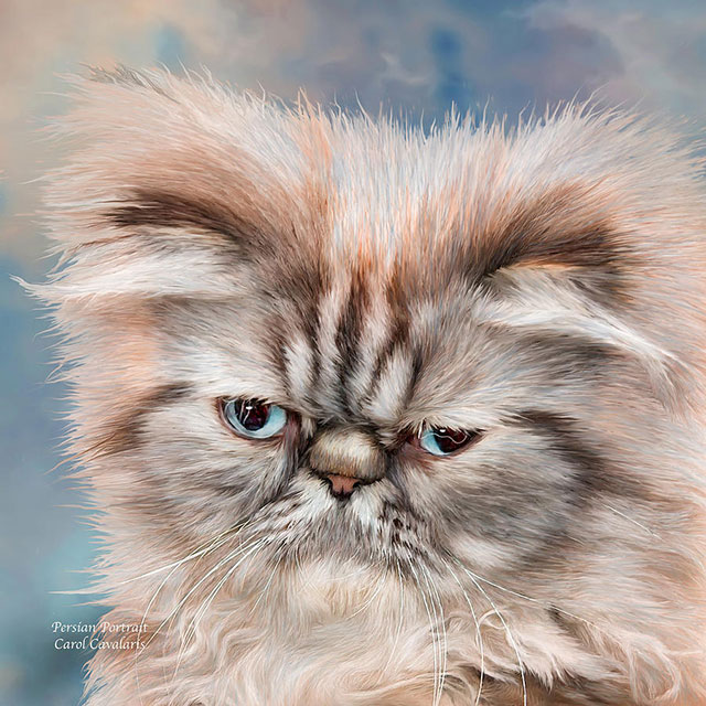 نقاشی گربه های ملوس و ناز