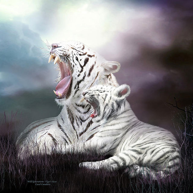 گروه اینترنتی خورشید