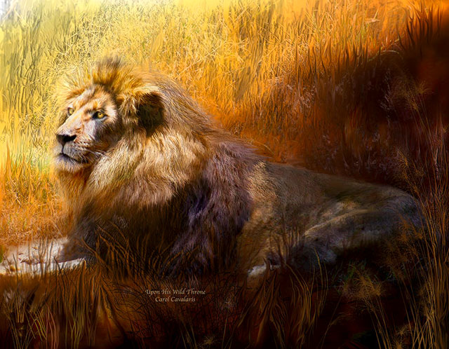 گروه اینترنتی خورشید