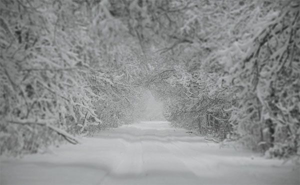 [عکس: beautiful-winter-photos-20.jpg]
