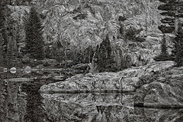 عکس های سیاه و سفید زیبا از طبیعت
