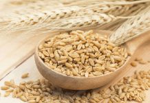 فواید جو چیست؟