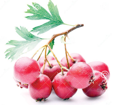 آشنایی با 6 میوه نارنجی معجزه گر