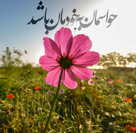 عکس نوشته و جملکس خاص مفهومی