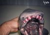 ترسناک ترین هیولاهای دریایی