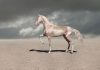 عکس اسب طلایی