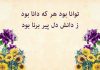 دوبیتی های ناب فردوسی درباره علم و دانش