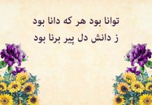 دوبیتی های ناب فردوسی درباره علم و دانش