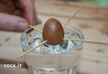 بذر آووکادو , دانه آووکادو
