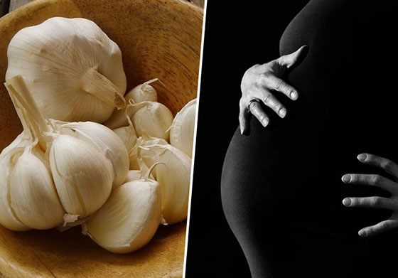مصرف سیر در بارداری خوب است؟