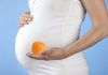 خواص و مضرات زردآلو در بارداری