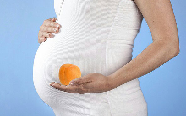 خواص و مضرات زردآلو در بارداری
