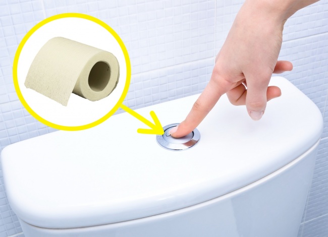 برای کشیدن سیفون توالت از دستمال کاغذی استفاده کنید