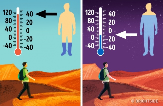 زنده ماندن در بیابان