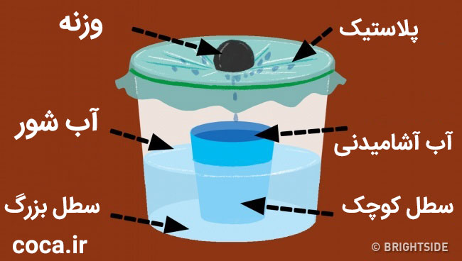 زنده ماندن در دریا