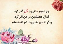 معنی و متن کامل شعر گل و گل از شاعر معاصر ایرانی ملک الشعرای بهار