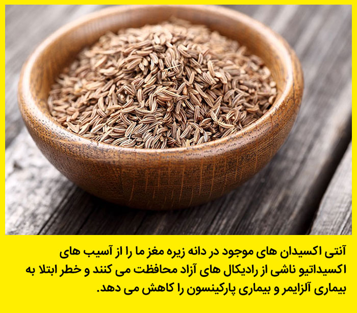 عکس رنگی انواع گیاهان دارویی