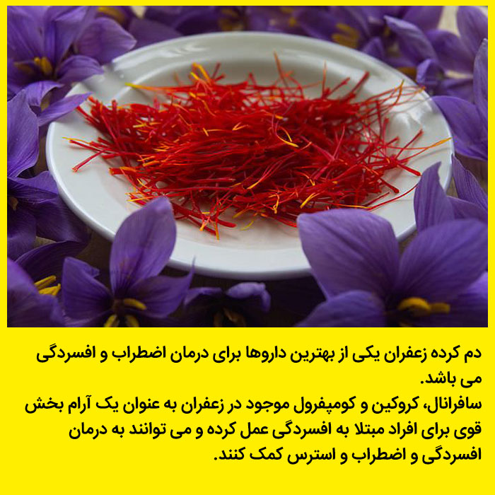 عکس رنگی انواع گیاهان دارویی