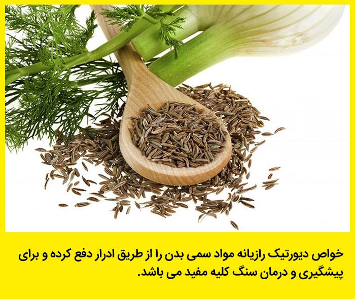 تصاویر گیاهان دارویی با اسم و خواص
