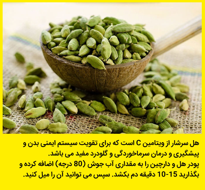 عکس با کیفیت خواص گیاهان دارویی