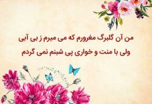 عکس نوشته من آن گلبرگ مغرورم