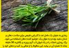 عکس نوشته گیاهان دارویی