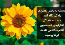 متن و جملات زیبا و عاشقانه در مورد گل آفتابگردان