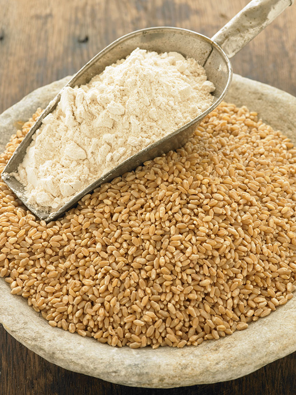 گندم تصویه شده مضر برای لاغری و کاهش وزن