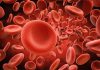 دانستنی ها درباره خون و گروه خونی