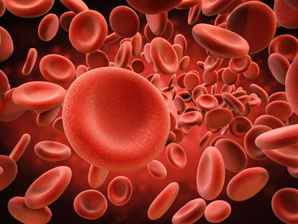 دانستنی ها درباره خون و گروه خونی