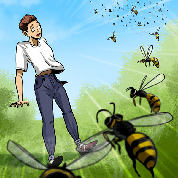 اگر زنبور ها به شما حمله کردند چه کنید؟