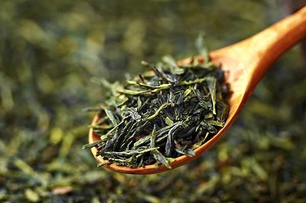 خواص دمنوش چای سبز