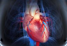دانستنی های علمی و پزشکی درباره قلب انسان