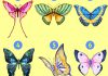 پروانه مورد علاقه شما کدام است؟