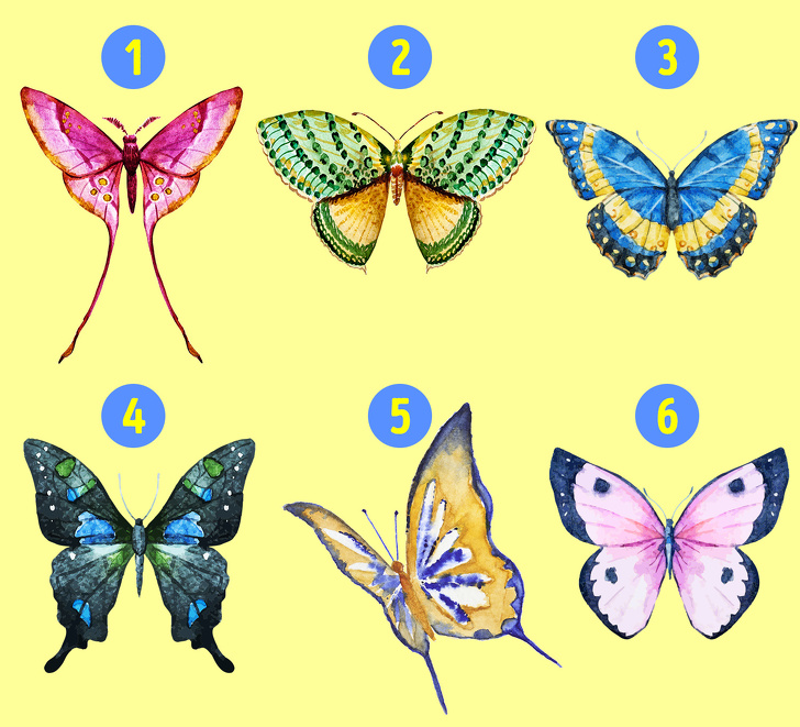 پروانه مورد علاقه شما کدام است؟