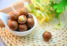 بهترین آجیل های کم کربوهیدارات